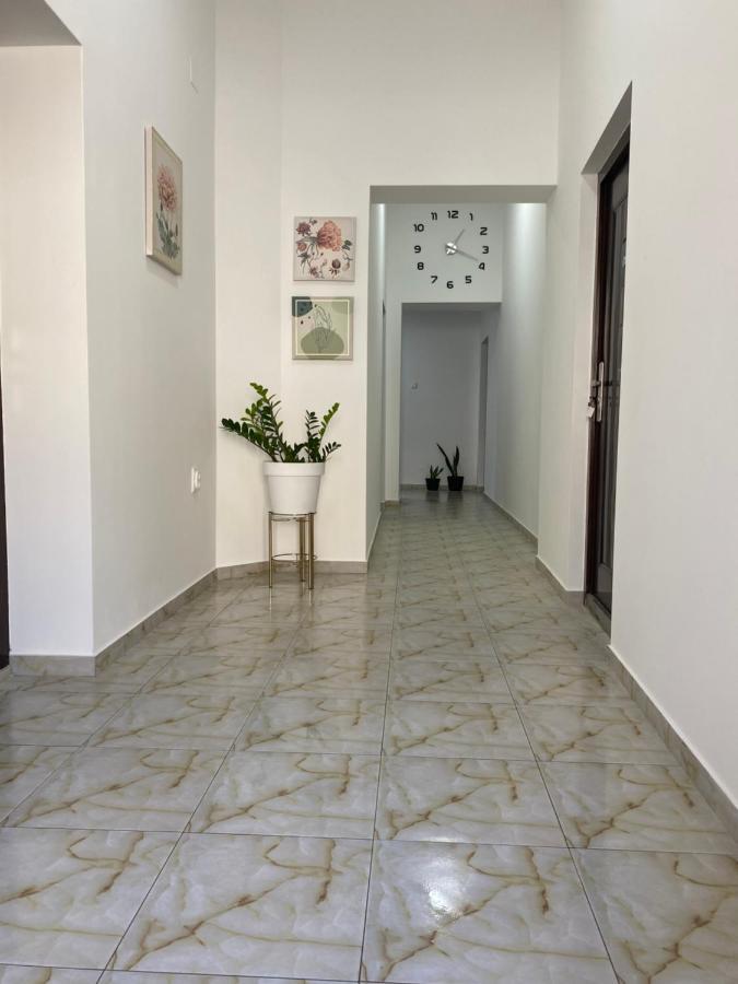 Lotus House Apartment Zrenjanin Exterior photo