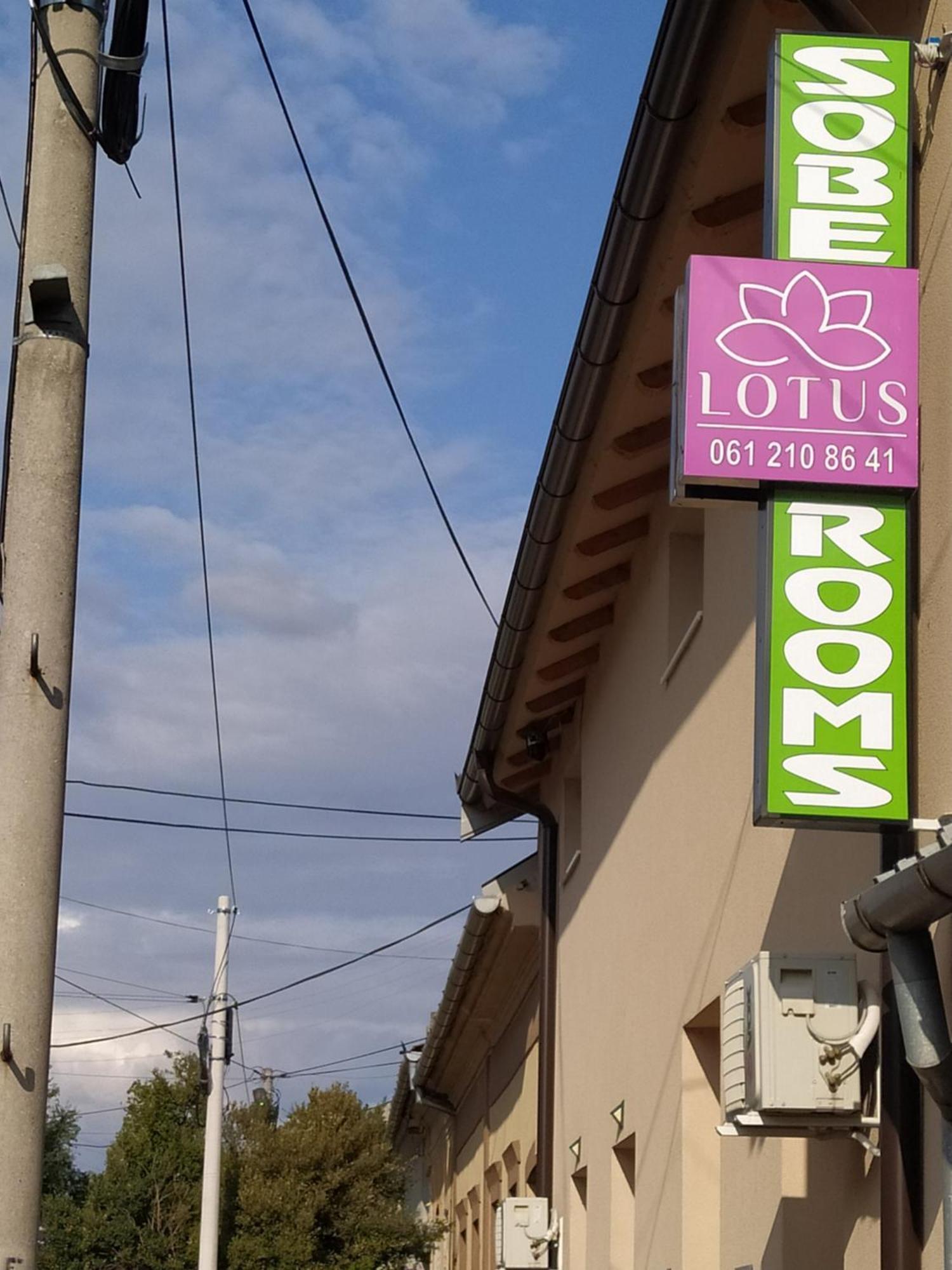 Lotus House Apartment Zrenjanin Exterior photo